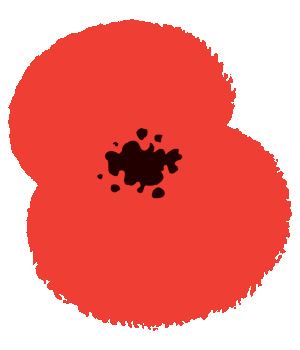 Poppy Appeal Launches this Saturday